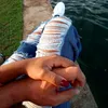 casal_oliveiira_