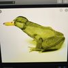 frogduck01