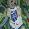 orgullozaa