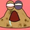stewdieleb
