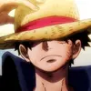 the_conquerer_luffy