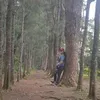 bhiebitancur