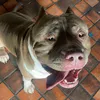 thanos_bully59