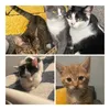 busterandluna2019