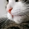 annie.s89