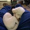 sleep2little