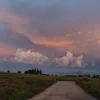zuri_dubon