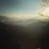 kg_ellis