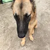 lekhuong797979