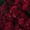 rosales_ml