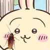 kasucurrywithrice