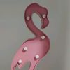 fancyflamingo_
