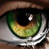 prtygrneeyez