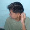 langg_gap