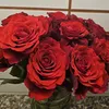 blume_123450