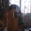 althea.belle.c..da