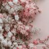 lavender_626
