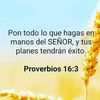 usuario_277.7