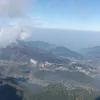 hoa12345656