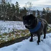 luis_lin04