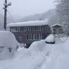 lz_61