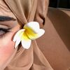 marwasabry5986