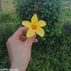 khaing1402