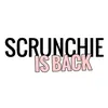 scrunchieisback