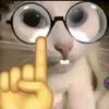 user515236112