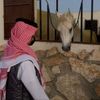 .omer_811