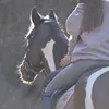 sophied.equine