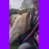 zombie_unicorn1