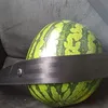 kaczka2665