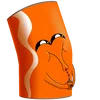 francis_endo