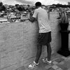 menorrapha