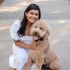 odenthegoldendoodle