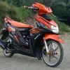 1angelopelagio
