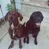 cash.and.elvis