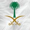 💙 الفهد 💙