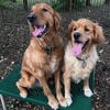 pawtyof2