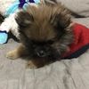 khloe.pom