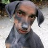 johan_.fr