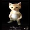 el_panamiguel08