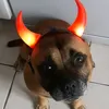 lamilanez