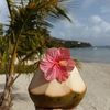 dominicanflower_