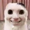 daidong170303
