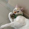 samul_g