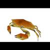 lowpolycrab