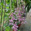thinh.nguyen.cong