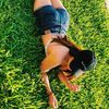 teresarr_